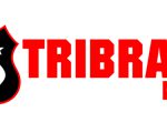 logotribrata